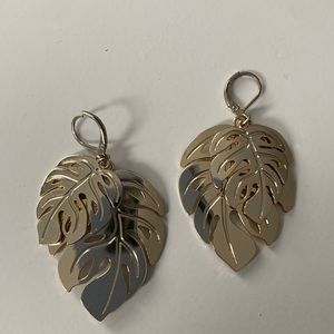 Tommy Bahama earrings